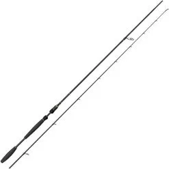 CANNE SPINNING WESTIN W10 SPIN